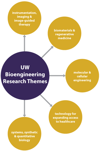 Interdisciplinary research of UW Bioengineering