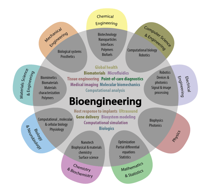 Is Bioengineering Right For Me UW Bioengineering   Bioengineering Vs Other Disciplines Alt1 