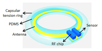 Karl Böhringer | UW Bioengineering