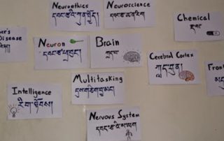Posters with neuroscience-related vocabulary and Tibetan translations
