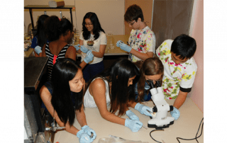 Students at UW Bioengineering's Bloomin Brains Summer Camp