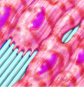 Nanosurface with cells illustration
