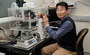 Deok-Ho Kim working in bioengineering laboratory