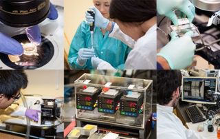 Students conducting research with bioengineering tools