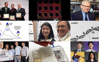 eNews Spring Summer 2016 graphic