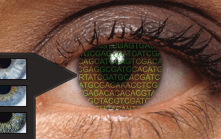 Illustration of human eye
