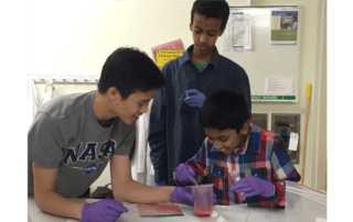 BioE students leading outreach program participants in strawberry DNA extraction experiment