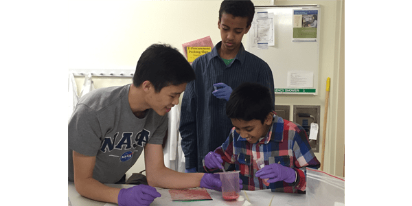 BioE students leading outreach program participants in strawberry DNA extraction experiment