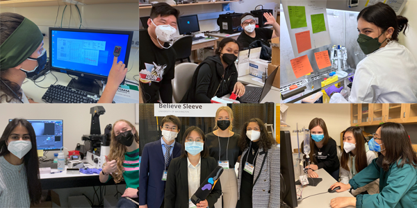 Collage of BioE students with capstone projects