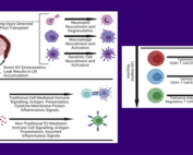 James Bryers image from thoracic paper