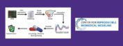 Center for Reproducible Biomedical Modeling