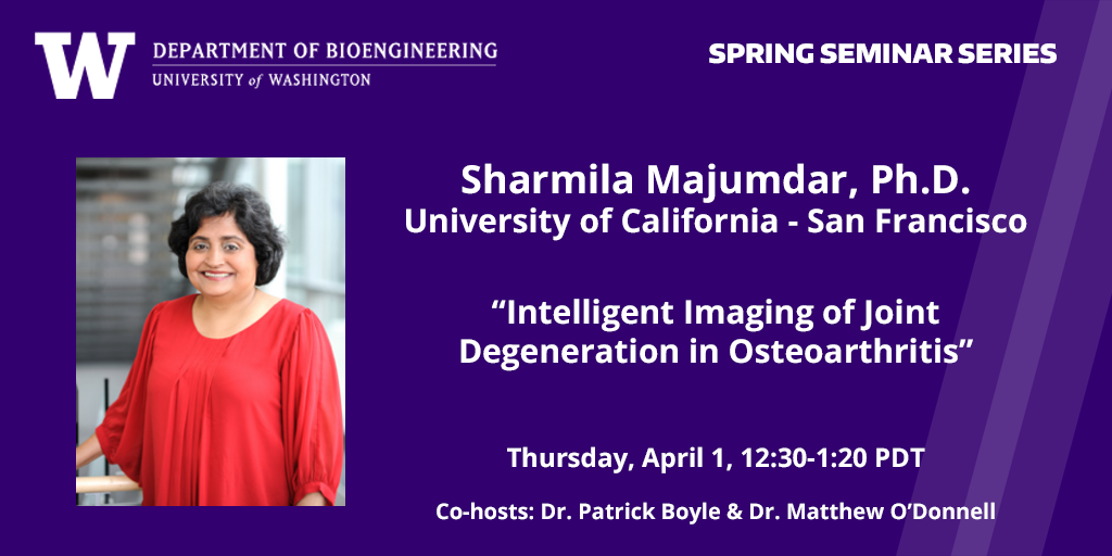 Dr. Majumdar image April 1 seminar