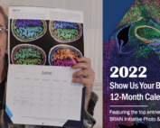 Eric Chudler holding calendar open to June with image of brains
