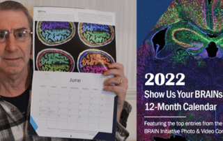 Eric Chudler holding calendar open to June with image of brains