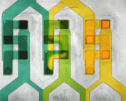 Folch Neils microfluidics image