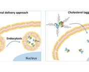 Gao lab cholesterol tagging system