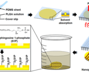 Harnessing Sphingosine-1-Phosphate Signaling and Nanotopographical Cues