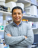 Hichem Tasfaout in a lab