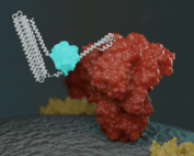 COVID biosensor