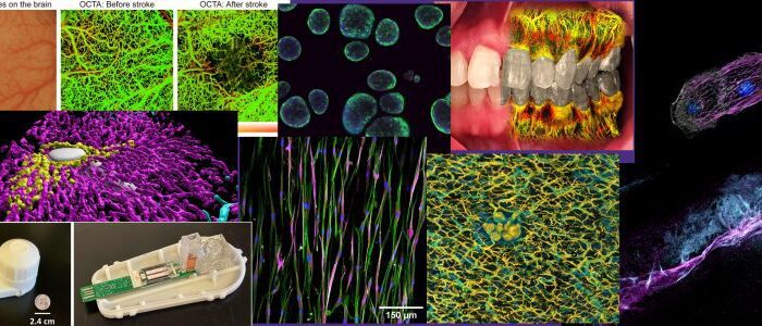 BioE Images
