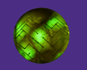 Electrodes implanted on the surface of a brain
