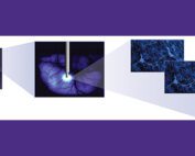 Optogenetics Illustration
