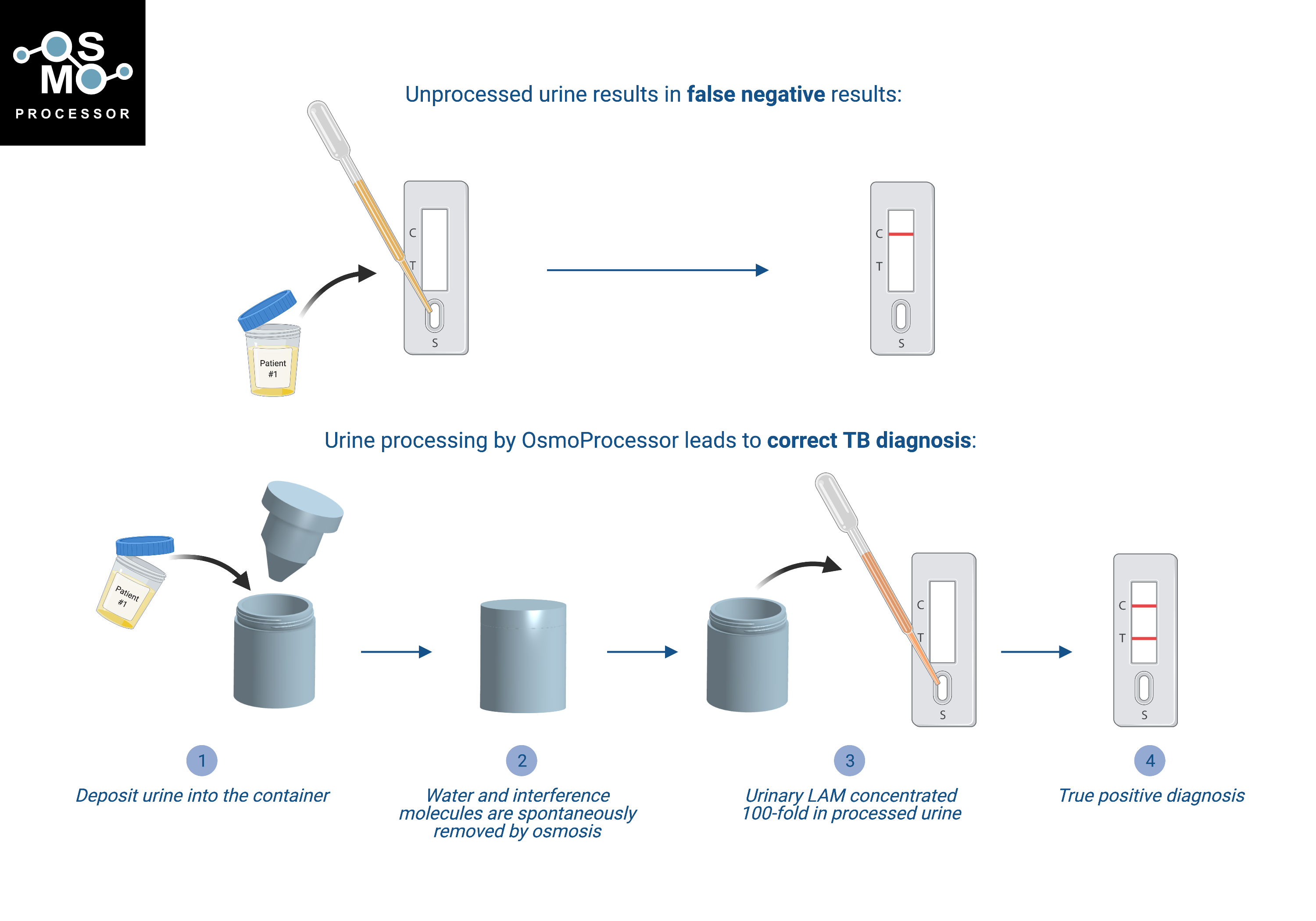 OsmoProcessor device diagram