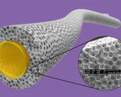 Porous vascular scaffold