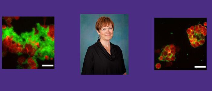 Valerie Daggett and research images