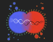 Yeast agglutination