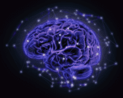 illustration of brain