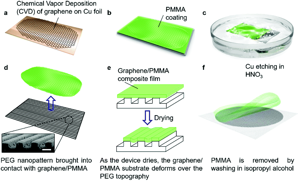 Schematic illustration detailing the fabrication process for generating patterned graphene–PEG devices