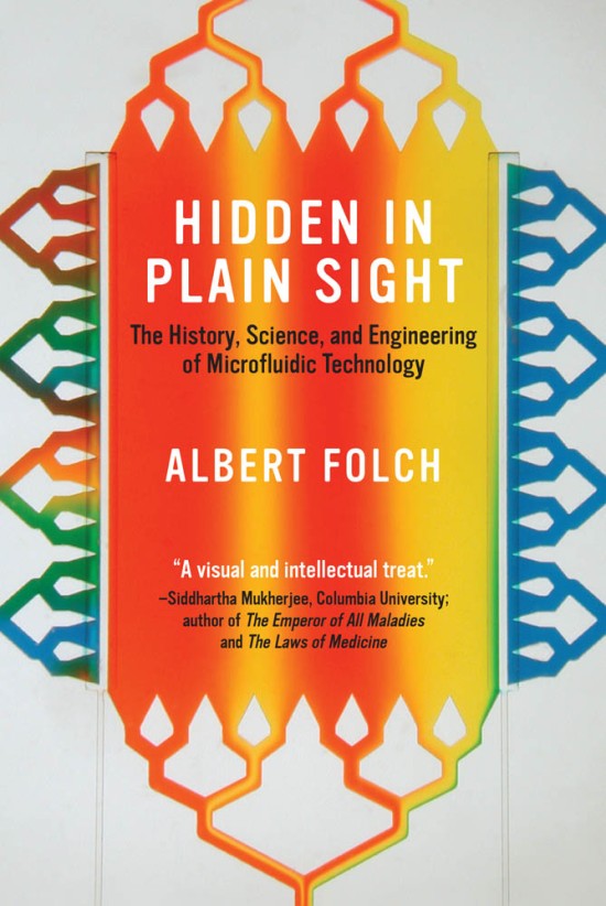 Hidden in Plain Sight book cover by Albert Folch