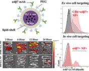 core-shell nanoparticles