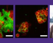 Valerie Daggett and research images