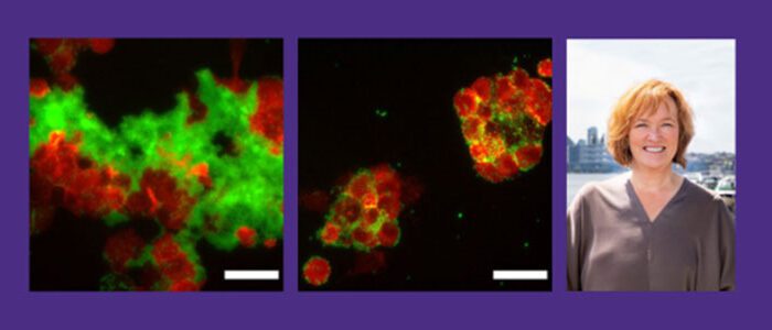 Valerie Daggett and research images