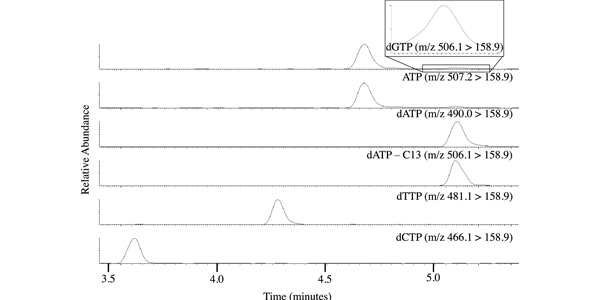 Ion chromatograms showing relative abundance for dGTP, ATP, dATP, labeled C-13 dATP, dTTP, and dCTP upon injection of 62.5 fmol dNTPs, 1250 fmol ATP, and 2.5 pmol of labeled C-13 dATP.