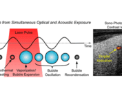 A new contrast agent for combined photoacoustic and ultrasound imaging is presented.