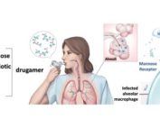 Macrophage-targeted drugamers with enzyme-cleavable linkers deliver high intracellular drug dosing and sustained drug pharmacokinetics against alveolar pulmonary infections