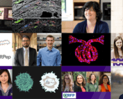 eNews June 2021 image collage