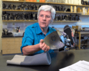 Prof. Joan Sanders