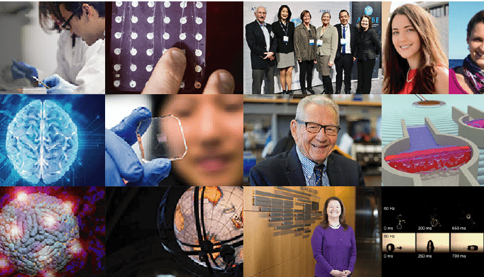Collage of research images and people featured in issue