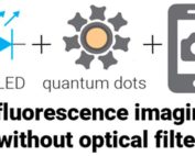 Schematic of fluorescence imaging without optical filters
