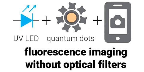 Schematic of fluorescence imaging without optical filters