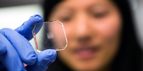 Researcher examines "kidney on a chip"