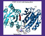 lumacaftor illustration