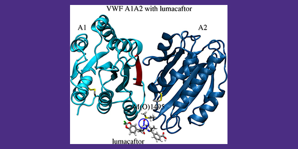 lumacaftor illustration