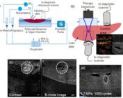 Demonstration of a machine perfusion imaging system