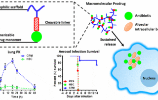 Schematic demonstrating a drug delivery platform for delivering ciprofloxacin to treat lung-based intracellular bacterial infections
