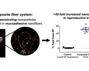 Composite fiber system: Mucus-penetrating nanoparticles encapsulated in mucoadhesive nanofibers. The system demonstrated greater than 30-fold increased nanoparticle retention in reproductive tract at 24 hr.